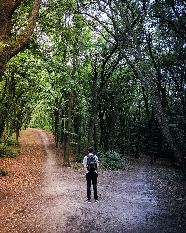 A man with a backpack at a fork in the road with the path on the left being better illuminated.