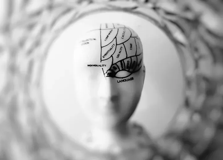 A mannequin head with outlines of various personality traits over the head where the brain would be.