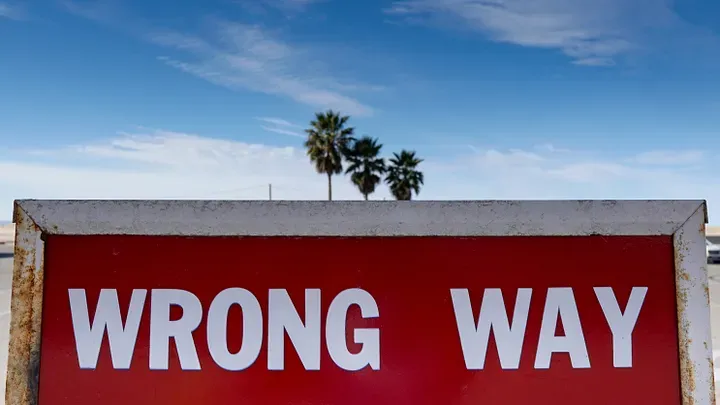 A large "Wrong Way" sign with three palm trees behind it in the distance.