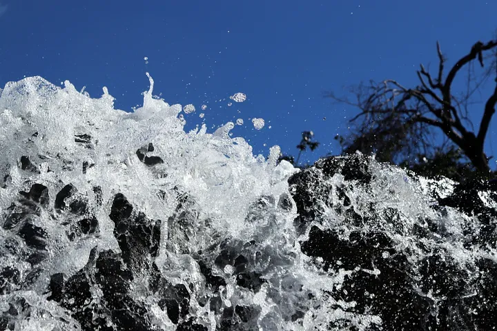 Some splashing water appearing to freeze in motion with a tree with no leaves in the background.