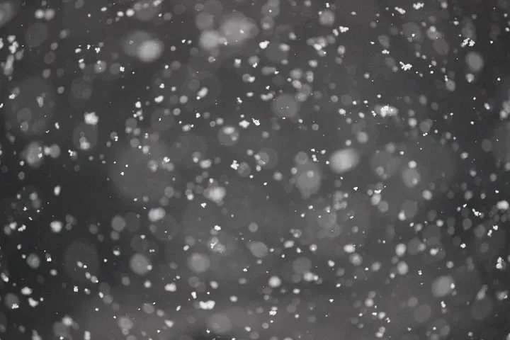 An image of snowflakes falling where no one particular snowflake is in focus.